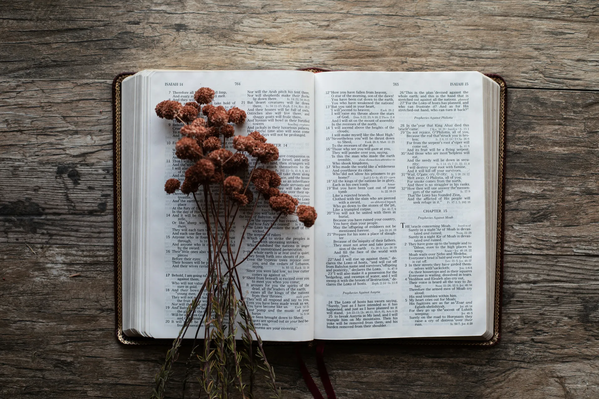 Prayer Before Study